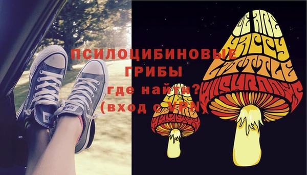 спиды Алзамай