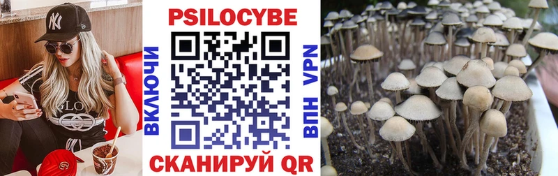 Галлюциногенные грибы мухоморы  наркота  Майкоп 