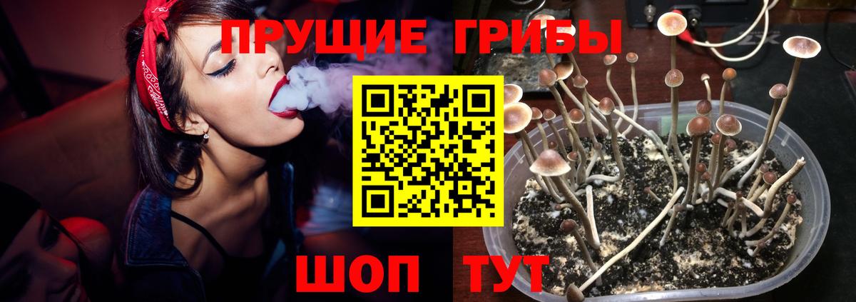 Галлюциногенные грибы Cubensis Майкоп