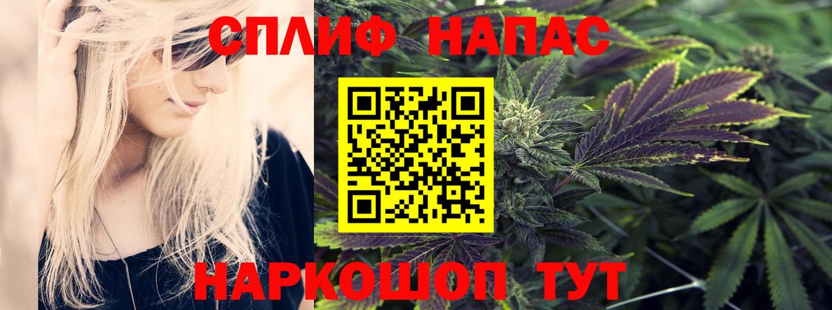 Конопля White Widow Майкоп